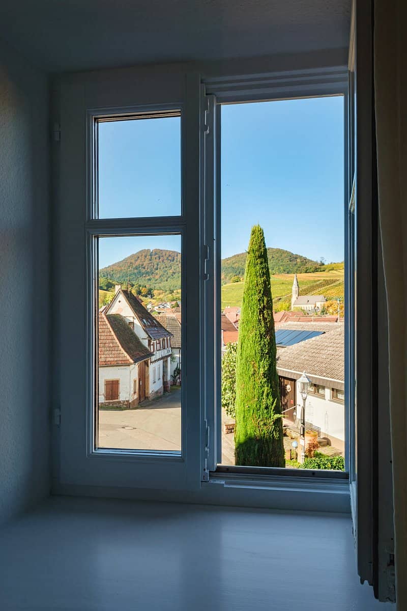 Bild - Ferienapartment Daschberg 5 | &copy; Weingut Scholler